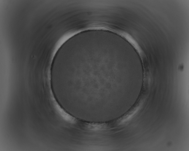 X0000096700951200802121200