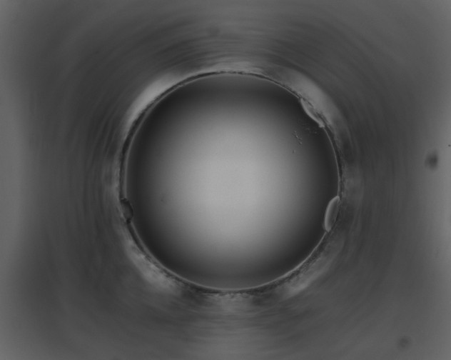 X0000096700952200802121200