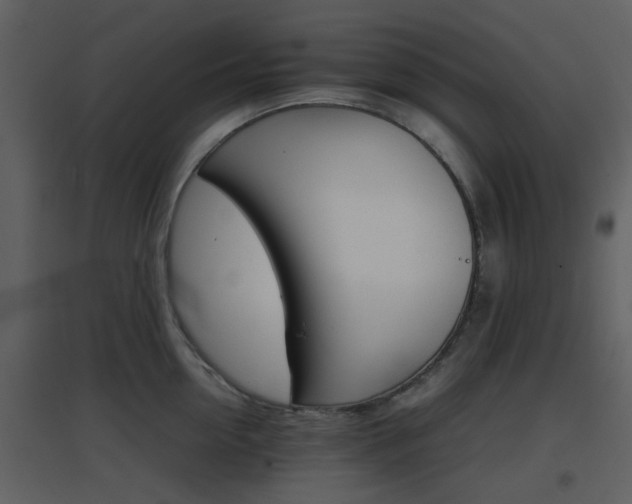 X0000096700954200802121200