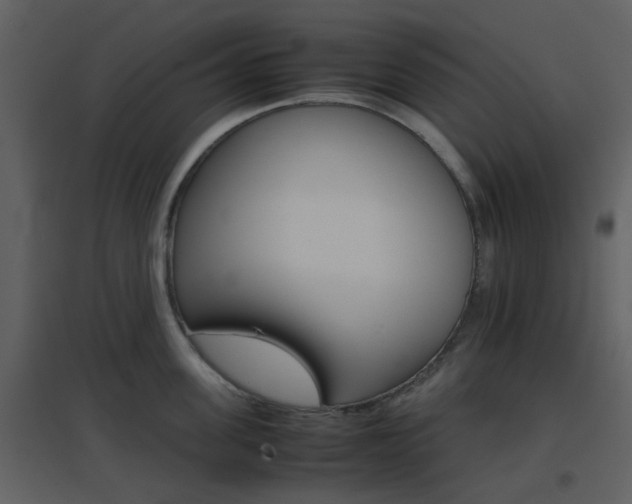 X0000096700955200802121200