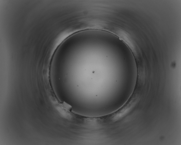 X0000096700956200802121200