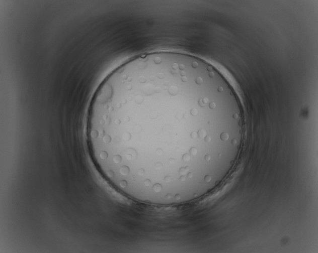 X0000096700957200802121200