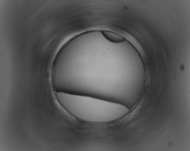 X0000096700958200802121200