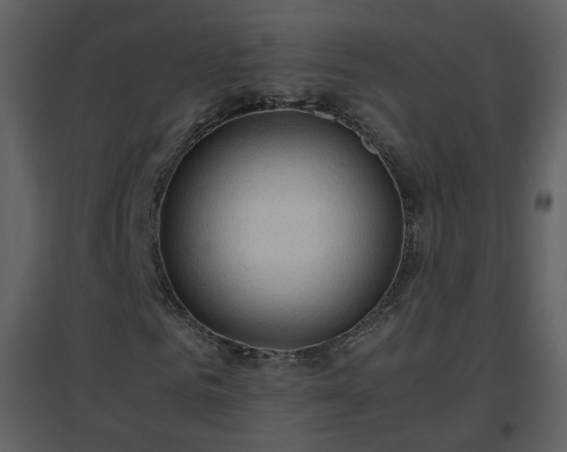 X0000096700961200802121159