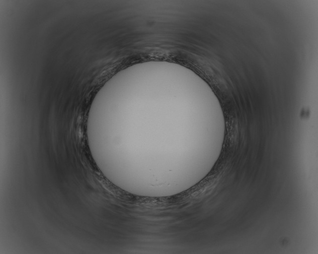 X0000096700962200802121159