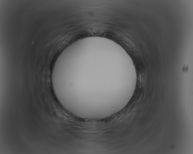 X0000096700963200802121159
