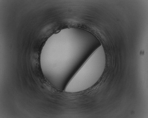 X0000096700964200802121159
