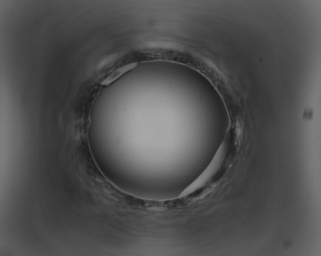 X0000096700965200802121159