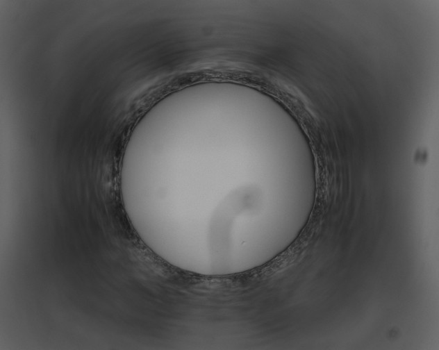 X0000096700966200802121159