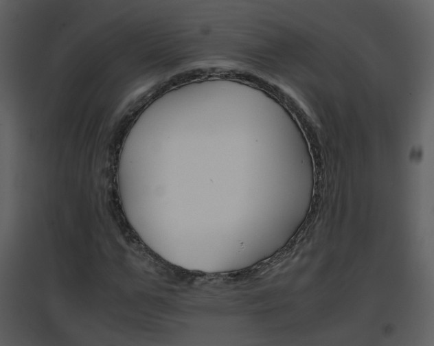 X0000096700967200802121159