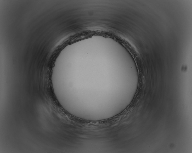X0000096700968200802121159