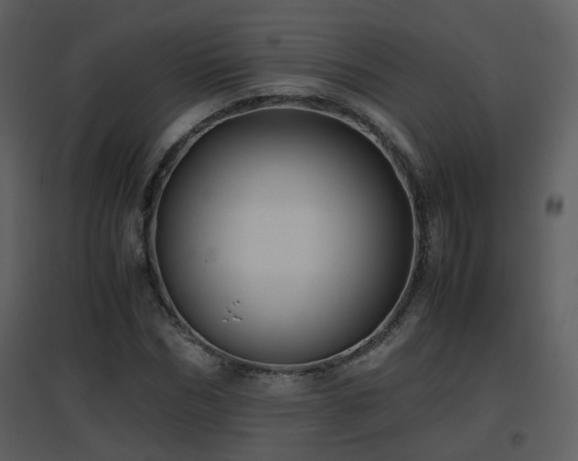 X0000096700970200802121159