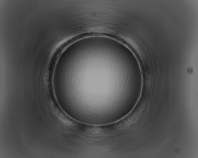 X0000096700971200802121159