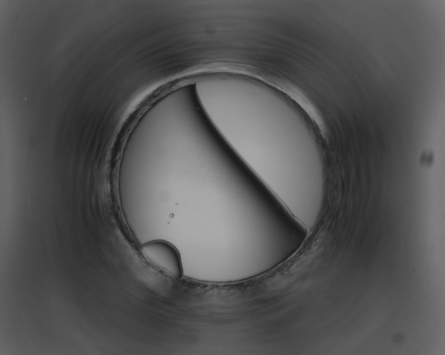 X0000096700972200802121159