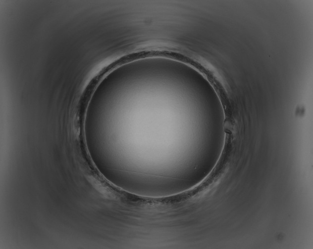 X0000096700973200802121159