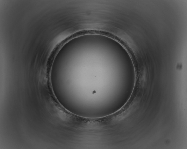 X0000096700974200802121159