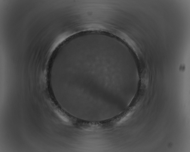 X0000096700975200802121159