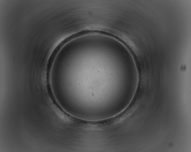 X0000096700976200802121159
