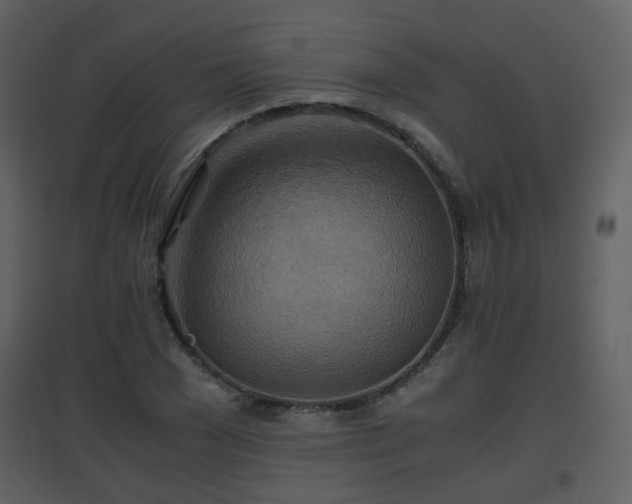 X0000096700977200802121159