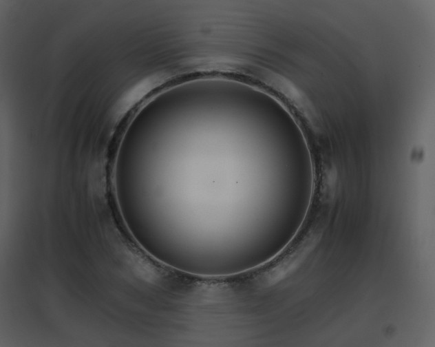 X0000096700978200802121159