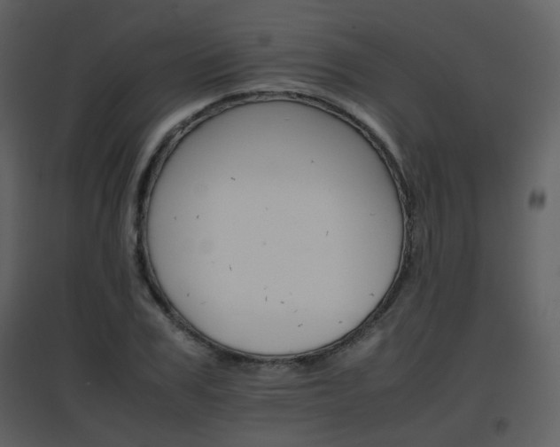 X0000096700979200802121159