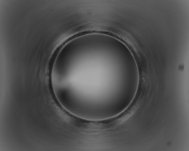 X0000096700981200802121159
