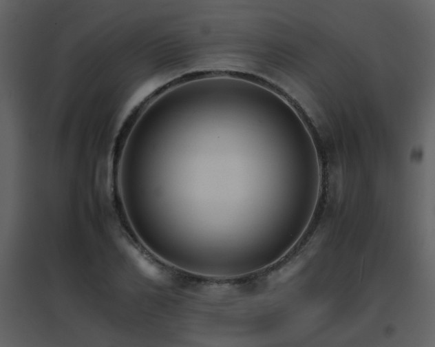X0000096700982200802121159