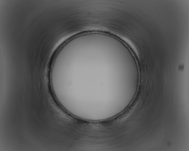 X0000096700983200802121159