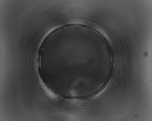 X0000096700984200802121159