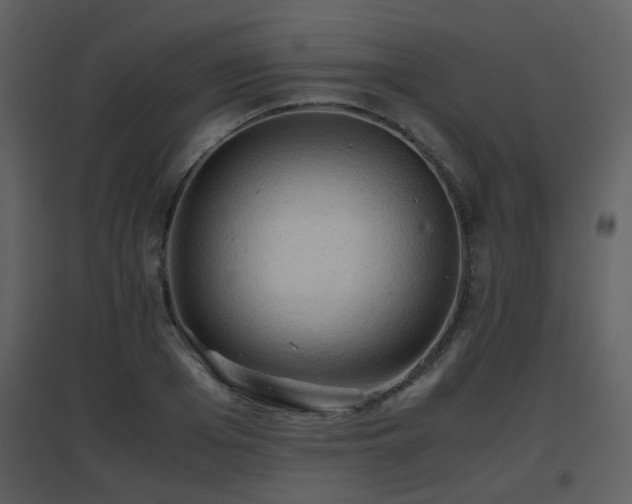 X0000096700985200802121159