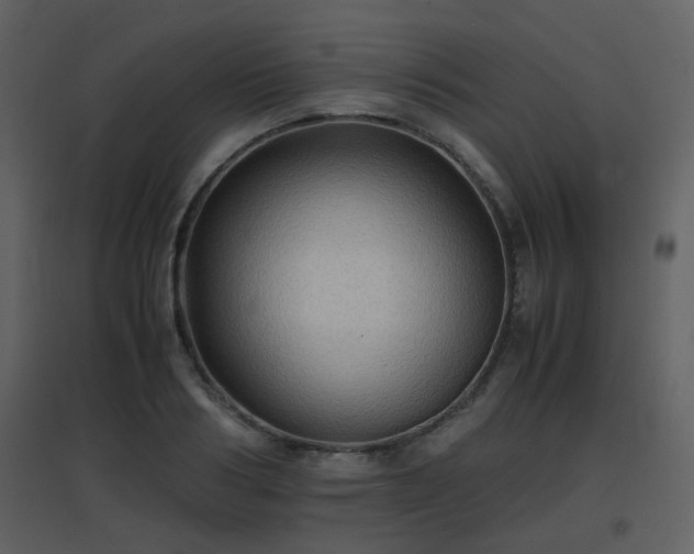 X0000096700986200802121159