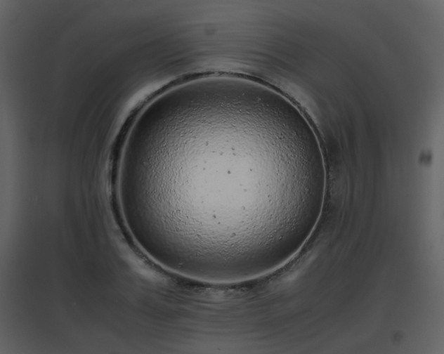 X0000096700987200802121159