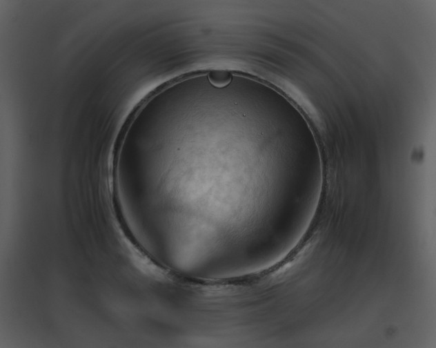 X0000096700988200802121159