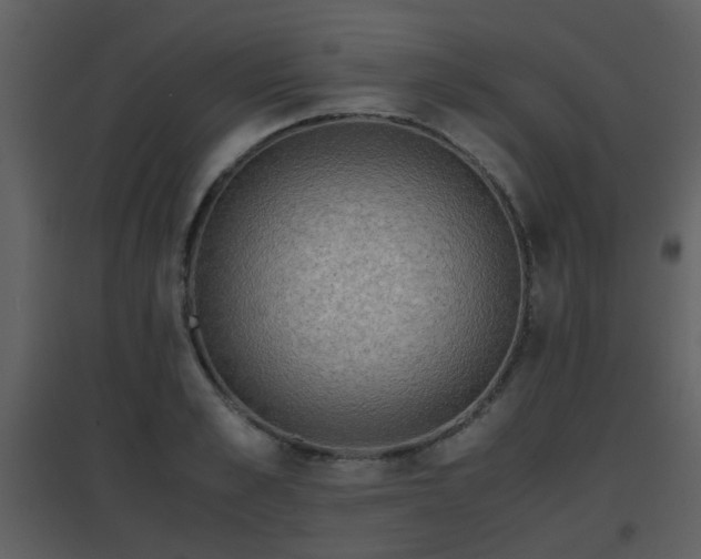 X0000096700989200802121159