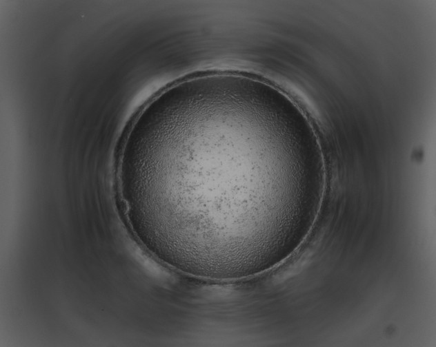 X0000096700990200802121159