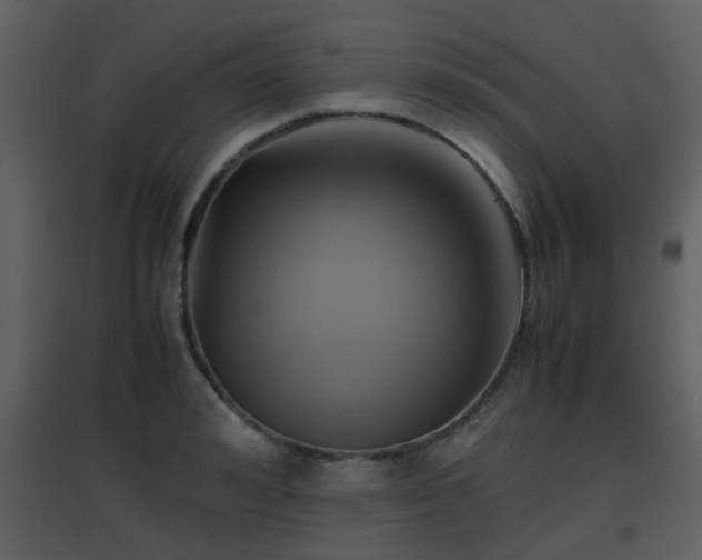 X0000096700992200802121159