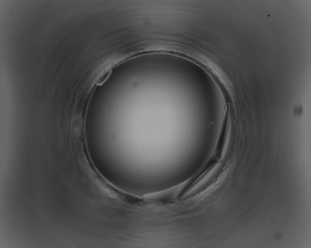 X0000096700993200802121159