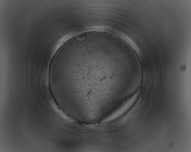 X0000096700994200802121159