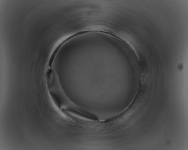 X0000096700995200802121159