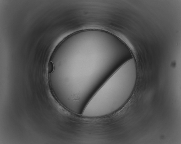 X0000096700996200802121159
