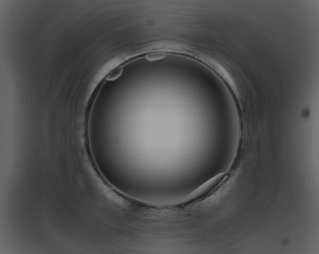 X0000096700997200802121159