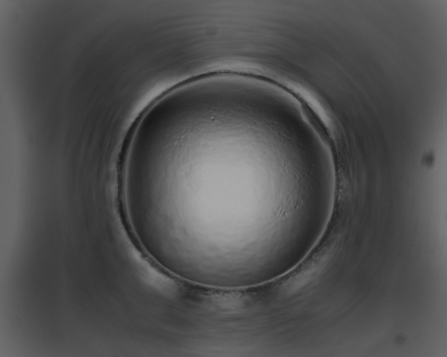 X0000096700999200802121159