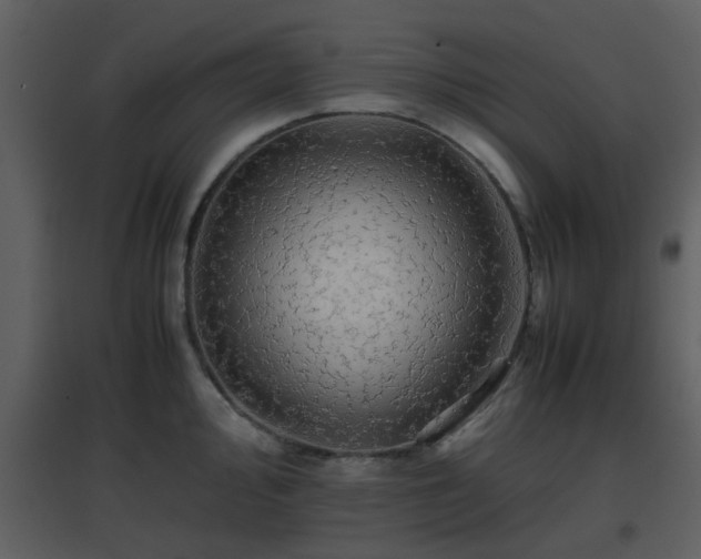 X0000096701000200802121159