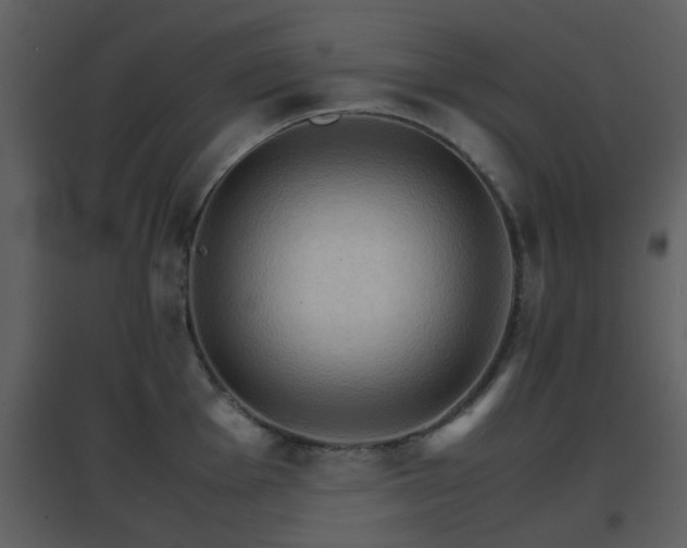 X0000096701001200802121159