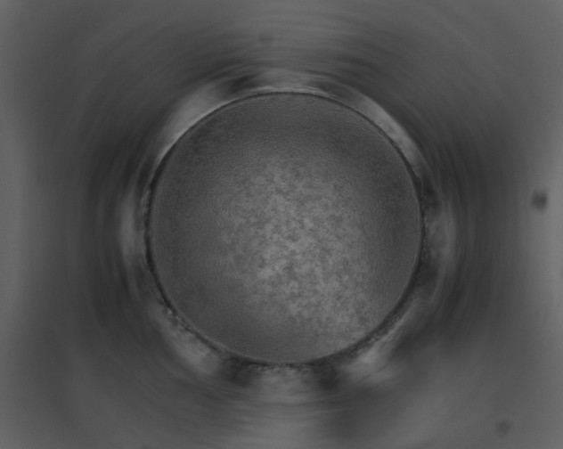 X0000096701002200802121159