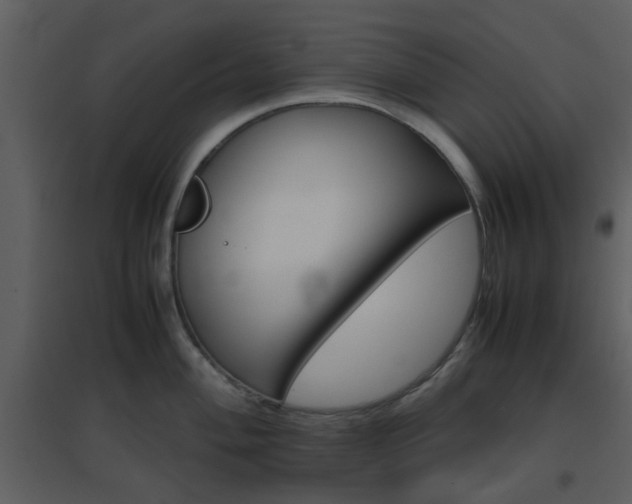 X0000096701004200802121159