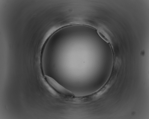X0000096701005200802121159