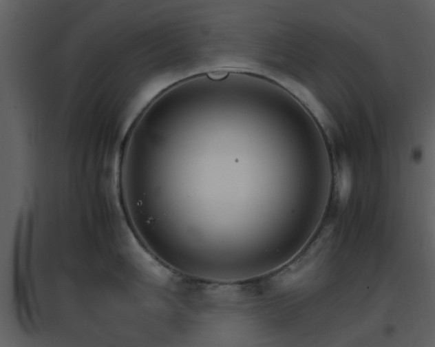 X0000096701006200802121158