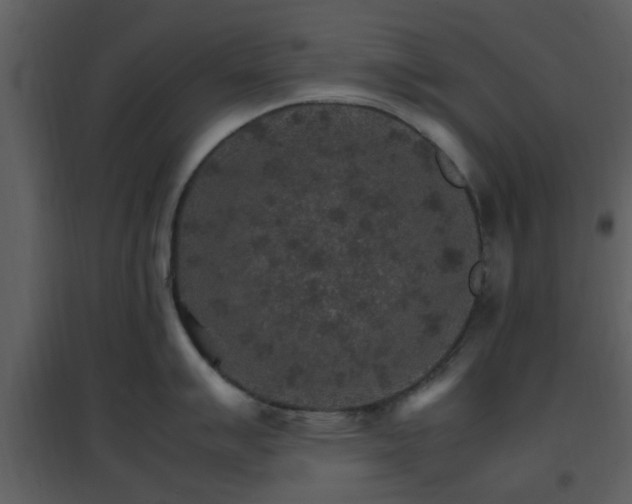 X0000096701007200802121158