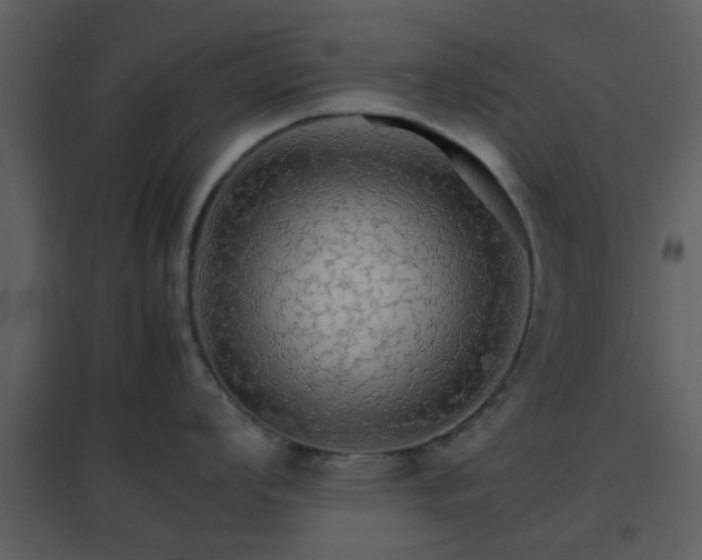 X0000096701008200802121158